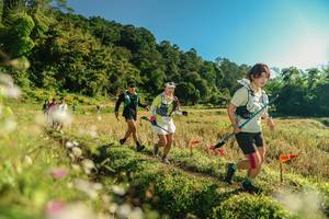 BIB: 
                            <button type="button" onclick="openModal(26637185)" class="btn btn-primary btn-sm float-right btn-popup" data-toggle="modal" data-target=".modal-high-quality">
                        <i class="fas fa-shopping-cart"></i> Add to Cart
                    </button>
                                            <button type="button" onclick="isThisMe(26637185, true)" class="btn btn-success btn-sm float-right btn-popup btn-isme hidden" data-toggle="tooltip" data-placement="bottom" title="นี่คือรูปของคุณใช่ไหม คลิกที่นี่เพื่อเอาเข้าอัลบั้ม">
                        <i class="fas fa-plus"></i> Add to album
                    </button>
                    <button type="button" onclick="isThisMe(26637185, false)" class="btn btn-warning btn-sm float-right btn-popup btn-isnotme hidden">
                        <i class="fas fa-ban"></i> Remove from album
                    </button>