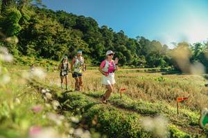 BIB: 
                            <button type="button" onclick="openModal(26637029)" class="btn btn-primary btn-sm float-right btn-popup" data-toggle="modal" data-target=".modal-high-quality">
                        <i class="fas fa-shopping-cart"></i> Add to Cart
                    </button>
                                            <button type="button" onclick="isThisMe(26637029, true)" class="btn btn-success btn-sm float-right btn-popup btn-isme hidden" data-toggle="tooltip" data-placement="bottom" title="นี่คือรูปของคุณใช่ไหม คลิกที่นี่เพื่อเอาเข้าอัลบั้ม">
                        <i class="fas fa-plus"></i> Add to album
                    </button>
                    <button type="button" onclick="isThisMe(26637029, false)" class="btn btn-warning btn-sm float-right btn-popup btn-isnotme hidden">
                        <i class="fas fa-ban"></i> Remove from album
                    </button>