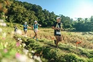 BIB: 
                            <button type="button" onclick="openModal(26633172)" class="btn btn-primary btn-sm float-right btn-popup" data-toggle="modal" data-target=".modal-high-quality">
                        <i class="fas fa-shopping-cart"></i> Add to Cart
                    </button>
                                            <button type="button" onclick="isThisMe(26633172, true)" class="btn btn-success btn-sm float-right btn-popup btn-isme hidden" data-toggle="tooltip" data-placement="bottom" title="นี่คือรูปของคุณใช่ไหม คลิกที่นี่เพื่อเอาเข้าอัลบั้ม">
                        <i class="fas fa-plus"></i> Add to album
                    </button>
                    <button type="button" onclick="isThisMe(26633172, false)" class="btn btn-warning btn-sm float-right btn-popup btn-isnotme hidden">
                        <i class="fas fa-ban"></i> Remove from album
                    </button>