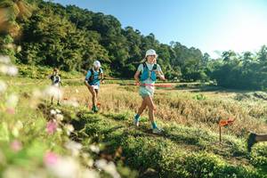 BIB: 
                            <button type="button" onclick="openModal(26633188)" class="btn btn-primary btn-sm float-right btn-popup" data-toggle="modal" data-target=".modal-high-quality">
                        <i class="fas fa-shopping-cart"></i> Add to Cart
                    </button>
                                            <button type="button" onclick="isThisMe(26633188, true)" class="btn btn-success btn-sm float-right btn-popup btn-isme hidden" data-toggle="tooltip" data-placement="bottom" title="นี่คือรูปของคุณใช่ไหม คลิกที่นี่เพื่อเอาเข้าอัลบั้ม">
                        <i class="fas fa-plus"></i> Add to album
                    </button>
                    <button type="button" onclick="isThisMe(26633188, false)" class="btn btn-warning btn-sm float-right btn-popup btn-isnotme hidden">
                        <i class="fas fa-ban"></i> Remove from album
                    </button>