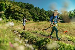 BIB: 
                            <button type="button" onclick="openModal(26699604)" class="btn btn-primary btn-sm float-right btn-popup" data-toggle="modal" data-target=".modal-high-quality">
                        <i class="fas fa-shopping-cart"></i> Add to Cart
                    </button>
                                            <button type="button" onclick="isThisMe(26699604, true)" class="btn btn-success btn-sm float-right btn-popup btn-isme hidden" data-toggle="tooltip" data-placement="bottom" title="นี่คือรูปของคุณใช่ไหม คลิกที่นี่เพื่อเอาเข้าอัลบั้ม">
                        <i class="fas fa-plus"></i> Add to album
                    </button>
                    <button type="button" onclick="isThisMe(26699604, false)" class="btn btn-warning btn-sm float-right btn-popup btn-isnotme hidden">
                        <i class="fas fa-ban"></i> Remove from album
                    </button>