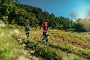 BIB: 
                            <button type="button" onclick="openModal(26638632)" class="btn btn-primary btn-sm float-right btn-popup" data-toggle="modal" data-target=".modal-high-quality">
                        <i class="fas fa-shopping-cart"></i> Add to Cart
                    </button>
                                            <button type="button" onclick="isThisMe(26638632, true)" class="btn btn-success btn-sm float-right btn-popup btn-isme hidden" data-toggle="tooltip" data-placement="bottom" title="นี่คือรูปของคุณใช่ไหม คลิกที่นี่เพื่อเอาเข้าอัลบั้ม">
                        <i class="fas fa-plus"></i> Add to album
                    </button>
                    <button type="button" onclick="isThisMe(26638632, false)" class="btn btn-warning btn-sm float-right btn-popup btn-isnotme hidden">
                        <i class="fas fa-ban"></i> Remove from album
                    </button>