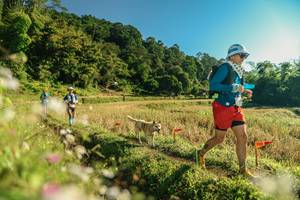 BIB: 
                            <button type="button" onclick="openModal(26637214)" class="btn btn-primary btn-sm float-right btn-popup" data-toggle="modal" data-target=".modal-high-quality">
                        <i class="fas fa-shopping-cart"></i> Add to Cart
                    </button>
                                            <button type="button" onclick="isThisMe(26637214, true)" class="btn btn-success btn-sm float-right btn-popup btn-isme hidden" data-toggle="tooltip" data-placement="bottom" title="นี่คือรูปของคุณใช่ไหม คลิกที่นี่เพื่อเอาเข้าอัลบั้ม">
                        <i class="fas fa-plus"></i> Add to album
                    </button>
                    <button type="button" onclick="isThisMe(26637214, false)" class="btn btn-warning btn-sm float-right btn-popup btn-isnotme hidden">
                        <i class="fas fa-ban"></i> Remove from album
                    </button>