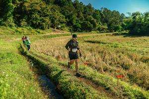 BIB: 
                            <button type="button" onclick="openModal(26692653)" class="btn btn-primary btn-sm float-right btn-popup" data-toggle="modal" data-target=".modal-high-quality">
                        <i class="fas fa-shopping-cart"></i> Add to Cart
                    </button>
                                            <button type="button" onclick="isThisMe(26692653, true)" class="btn btn-success btn-sm float-right btn-popup btn-isme hidden" data-toggle="tooltip" data-placement="bottom" title="นี่คือรูปของคุณใช่ไหม คลิกที่นี่เพื่อเอาเข้าอัลบั้ม">
                        <i class="fas fa-plus"></i> Add to album
                    </button>
                    <button type="button" onclick="isThisMe(26692653, false)" class="btn btn-warning btn-sm float-right btn-popup btn-isnotme hidden">
                        <i class="fas fa-ban"></i> Remove from album
                    </button>