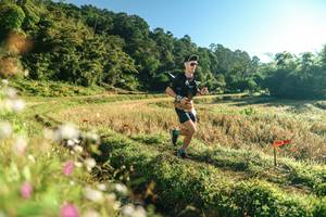 BIB: 
                            <button type="button" onclick="openModal(26632474)" class="btn btn-primary btn-sm float-right btn-popup" data-toggle="modal" data-target=".modal-high-quality">
                        <i class="fas fa-shopping-cart"></i> Add to Cart
                    </button>
                                            <button type="button" onclick="isThisMe(26632474, true)" class="btn btn-success btn-sm float-right btn-popup btn-isme hidden" data-toggle="tooltip" data-placement="bottom" title="นี่คือรูปของคุณใช่ไหม คลิกที่นี่เพื่อเอาเข้าอัลบั้ม">
                        <i class="fas fa-plus"></i> Add to album
                    </button>
                    <button type="button" onclick="isThisMe(26632474, false)" class="btn btn-warning btn-sm float-right btn-popup btn-isnotme hidden">
                        <i class="fas fa-ban"></i> Remove from album
                    </button>