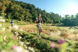 BIB: 
                            <button type="button" onclick="openModal(26633291)" class="btn btn-primary btn-sm float-right btn-popup" data-toggle="modal" data-target=".modal-high-quality">
                        <i class="fas fa-shopping-cart"></i> Add to Cart
                    </button>
                                            <button type="button" onclick="isThisMe(26633291, true)" class="btn btn-success btn-sm float-right btn-popup btn-isme hidden" data-toggle="tooltip" data-placement="bottom" title="นี่คือรูปของคุณใช่ไหม คลิกที่นี่เพื่อเอาเข้าอัลบั้ม">
                        <i class="fas fa-plus"></i> Add to album
                    </button>
                    <button type="button" onclick="isThisMe(26633291, false)" class="btn btn-warning btn-sm float-right btn-popup btn-isnotme hidden">
                        <i class="fas fa-ban"></i> Remove from album
                    </button>