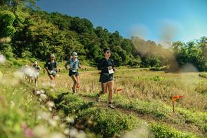 BIB: 
                            <button type="button" onclick="openModal(26700443)" class="btn btn-primary btn-sm float-right btn-popup" data-toggle="modal" data-target=".modal-high-quality">
                        <i class="fas fa-shopping-cart"></i> Add to Cart
                    </button>
                                            <button type="button" onclick="isThisMe(26700443, true)" class="btn btn-success btn-sm float-right btn-popup btn-isme hidden" data-toggle="tooltip" data-placement="bottom" title="นี่คือรูปของคุณใช่ไหม คลิกที่นี่เพื่อเอาเข้าอัลบั้ม">
                        <i class="fas fa-plus"></i> Add to album
                    </button>
                    <button type="button" onclick="isThisMe(26700443, false)" class="btn btn-warning btn-sm float-right btn-popup btn-isnotme hidden">
                        <i class="fas fa-ban"></i> Remove from album
                    </button>