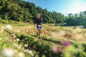 BIB: 
                            <button type="button" onclick="openModal(26633916)" class="btn btn-primary btn-sm float-right btn-popup" data-toggle="modal" data-target=".modal-high-quality">
                        <i class="fas fa-shopping-cart"></i> Add to Cart
                    </button>
                                            <button type="button" onclick="isThisMe(26633916, true)" class="btn btn-success btn-sm float-right btn-popup btn-isme hidden" data-toggle="tooltip" data-placement="bottom" title="นี่คือรูปของคุณใช่ไหม คลิกที่นี่เพื่อเอาเข้าอัลบั้ม">
                        <i class="fas fa-plus"></i> Add to album
                    </button>
                    <button type="button" onclick="isThisMe(26633916, false)" class="btn btn-warning btn-sm float-right btn-popup btn-isnotme hidden">
                        <i class="fas fa-ban"></i> Remove from album
                    </button>