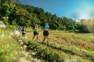 BIB: 
                            <button type="button" onclick="openModal(26645117)" class="btn btn-primary btn-sm float-right btn-popup" data-toggle="modal" data-target=".modal-high-quality">
                        <i class="fas fa-shopping-cart"></i> Add to Cart
                    </button>
                                            <button type="button" onclick="isThisMe(26645117, true)" class="btn btn-success btn-sm float-right btn-popup btn-isme hidden" data-toggle="tooltip" data-placement="bottom" title="นี่คือรูปของคุณใช่ไหม คลิกที่นี่เพื่อเอาเข้าอัลบั้ม">
                        <i class="fas fa-plus"></i> Add to album
                    </button>
                    <button type="button" onclick="isThisMe(26645117, false)" class="btn btn-warning btn-sm float-right btn-popup btn-isnotme hidden">
                        <i class="fas fa-ban"></i> Remove from album
                    </button>