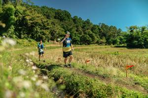 BIB: 
                            <button type="button" onclick="openModal(26726960)" class="btn btn-primary btn-sm float-right btn-popup" data-toggle="modal" data-target=".modal-high-quality">
                        <i class="fas fa-shopping-cart"></i> Add to Cart
                    </button>
                                            <button type="button" onclick="isThisMe(26726960, true)" class="btn btn-success btn-sm float-right btn-popup btn-isme hidden" data-toggle="tooltip" data-placement="bottom" title="นี่คือรูปของคุณใช่ไหม คลิกที่นี่เพื่อเอาเข้าอัลบั้ม">
                        <i class="fas fa-plus"></i> Add to album
                    </button>
                    <button type="button" onclick="isThisMe(26726960, false)" class="btn btn-warning btn-sm float-right btn-popup btn-isnotme hidden">
                        <i class="fas fa-ban"></i> Remove from album
                    </button>