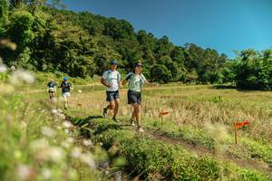 BIB: 
                            <button type="button" onclick="openModal(26729957)" class="btn btn-primary btn-sm float-right btn-popup" data-toggle="modal" data-target=".modal-high-quality">
                        <i class="fas fa-shopping-cart"></i> Add to Cart
                    </button>
                                            <button type="button" onclick="isThisMe(26729957, true)" class="btn btn-success btn-sm float-right btn-popup btn-isme hidden" data-toggle="tooltip" data-placement="bottom" title="นี่คือรูปของคุณใช่ไหม คลิกที่นี่เพื่อเอาเข้าอัลบั้ม">
                        <i class="fas fa-plus"></i> Add to album
                    </button>
                    <button type="button" onclick="isThisMe(26729957, false)" class="btn btn-warning btn-sm float-right btn-popup btn-isnotme hidden">
                        <i class="fas fa-ban"></i> Remove from album
                    </button>