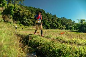 BIB: 
                            <button type="button" onclick="openModal(26701629)" class="btn btn-primary btn-sm float-right btn-popup" data-toggle="modal" data-target=".modal-high-quality">
                        <i class="fas fa-shopping-cart"></i> Add to Cart
                    </button>
                                            <button type="button" onclick="isThisMe(26701629, true)" class="btn btn-success btn-sm float-right btn-popup btn-isme hidden" data-toggle="tooltip" data-placement="bottom" title="นี่คือรูปของคุณใช่ไหม คลิกที่นี่เพื่อเอาเข้าอัลบั้ม">
                        <i class="fas fa-plus"></i> Add to album
                    </button>
                    <button type="button" onclick="isThisMe(26701629, false)" class="btn btn-warning btn-sm float-right btn-popup btn-isnotme hidden">
                        <i class="fas fa-ban"></i> Remove from album
                    </button>