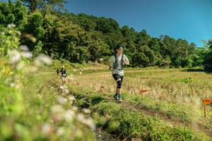 BIB: 
                            <button type="button" onclick="openModal(26734078)" class="btn btn-primary btn-sm float-right btn-popup" data-toggle="modal" data-target=".modal-high-quality">
                        <i class="fas fa-shopping-cart"></i> Add to Cart
                    </button>
                                            <button type="button" onclick="isThisMe(26734078, true)" class="btn btn-success btn-sm float-right btn-popup btn-isme hidden" data-toggle="tooltip" data-placement="bottom" title="นี่คือรูปของคุณใช่ไหม คลิกที่นี่เพื่อเอาเข้าอัลบั้ม">
                        <i class="fas fa-plus"></i> Add to album
                    </button>
                    <button type="button" onclick="isThisMe(26734078, false)" class="btn btn-warning btn-sm float-right btn-popup btn-isnotme hidden">
                        <i class="fas fa-ban"></i> Remove from album
                    </button>