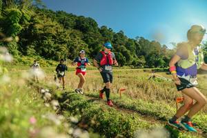 BIB: 
                            <button type="button" onclick="openModal(26681811)" class="btn btn-primary btn-sm float-right btn-popup" data-toggle="modal" data-target=".modal-high-quality">
                        <i class="fas fa-shopping-cart"></i> Add to Cart
                    </button>
                                            <button type="button" onclick="isThisMe(26681811, true)" class="btn btn-success btn-sm float-right btn-popup btn-isme hidden" data-toggle="tooltip" data-placement="bottom" title="นี่คือรูปของคุณใช่ไหม คลิกที่นี่เพื่อเอาเข้าอัลบั้ม">
                        <i class="fas fa-plus"></i> Add to album
                    </button>
                    <button type="button" onclick="isThisMe(26681811, false)" class="btn btn-warning btn-sm float-right btn-popup btn-isnotme hidden">
                        <i class="fas fa-ban"></i> Remove from album
                    </button>