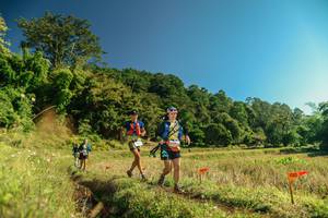 BIB: 
                            <button type="button" onclick="openModal(26693396)" class="btn btn-primary btn-sm float-right btn-popup" data-toggle="modal" data-target=".modal-high-quality">
                        <i class="fas fa-shopping-cart"></i> Add to Cart
                    </button>
                                            <button type="button" onclick="isThisMe(26693396, true)" class="btn btn-success btn-sm float-right btn-popup btn-isme hidden" data-toggle="tooltip" data-placement="bottom" title="นี่คือรูปของคุณใช่ไหม คลิกที่นี่เพื่อเอาเข้าอัลบั้ม">
                        <i class="fas fa-plus"></i> Add to album
                    </button>
                    <button type="button" onclick="isThisMe(26693396, false)" class="btn btn-warning btn-sm float-right btn-popup btn-isnotme hidden">
                        <i class="fas fa-ban"></i> Remove from album
                    </button>