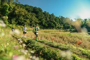 BIB: 
                            <button type="button" onclick="openModal(26637052)" class="btn btn-primary btn-sm float-right btn-popup" data-toggle="modal" data-target=".modal-high-quality">
                        <i class="fas fa-shopping-cart"></i> Add to Cart
                    </button>
                                            <button type="button" onclick="isThisMe(26637052, true)" class="btn btn-success btn-sm float-right btn-popup btn-isme hidden" data-toggle="tooltip" data-placement="bottom" title="นี่คือรูปของคุณใช่ไหม คลิกที่นี่เพื่อเอาเข้าอัลบั้ม">
                        <i class="fas fa-plus"></i> Add to album
                    </button>
                    <button type="button" onclick="isThisMe(26637052, false)" class="btn btn-warning btn-sm float-right btn-popup btn-isnotme hidden">
                        <i class="fas fa-ban"></i> Remove from album
                    </button>