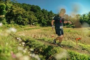 BIB: 
                            <button type="button" onclick="openModal(26699790)" class="btn btn-primary btn-sm float-right btn-popup" data-toggle="modal" data-target=".modal-high-quality">
                        <i class="fas fa-shopping-cart"></i> Add to Cart
                    </button>
                                            <button type="button" onclick="isThisMe(26699790, true)" class="btn btn-success btn-sm float-right btn-popup btn-isme hidden" data-toggle="tooltip" data-placement="bottom" title="นี่คือรูปของคุณใช่ไหม คลิกที่นี่เพื่อเอาเข้าอัลบั้ม">
                        <i class="fas fa-plus"></i> Add to album
                    </button>
                    <button type="button" onclick="isThisMe(26699790, false)" class="btn btn-warning btn-sm float-right btn-popup btn-isnotme hidden">
                        <i class="fas fa-ban"></i> Remove from album
                    </button>