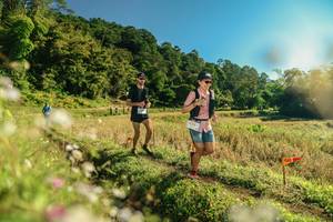 BIB: 
                            <button type="button" onclick="openModal(26638008)" class="btn btn-primary btn-sm float-right btn-popup" data-toggle="modal" data-target=".modal-high-quality">
                        <i class="fas fa-shopping-cart"></i> Add to Cart
                    </button>
                                            <button type="button" onclick="isThisMe(26638008, true)" class="btn btn-success btn-sm float-right btn-popup btn-isme hidden" data-toggle="tooltip" data-placement="bottom" title="นี่คือรูปของคุณใช่ไหม คลิกที่นี่เพื่อเอาเข้าอัลบั้ม">
                        <i class="fas fa-plus"></i> Add to album
                    </button>
                    <button type="button" onclick="isThisMe(26638008, false)" class="btn btn-warning btn-sm float-right btn-popup btn-isnotme hidden">
                        <i class="fas fa-ban"></i> Remove from album
                    </button>