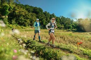 BIB: 
                            <button type="button" onclick="openModal(26652598)" class="btn btn-primary btn-sm float-right btn-popup" data-toggle="modal" data-target=".modal-high-quality">
                        <i class="fas fa-shopping-cart"></i> Add to Cart
                    </button>
                                            <button type="button" onclick="isThisMe(26652598, true)" class="btn btn-success btn-sm float-right btn-popup btn-isme hidden" data-toggle="tooltip" data-placement="bottom" title="นี่คือรูปของคุณใช่ไหม คลิกที่นี่เพื่อเอาเข้าอัลบั้ม">
                        <i class="fas fa-plus"></i> Add to album
                    </button>
                    <button type="button" onclick="isThisMe(26652598, false)" class="btn btn-warning btn-sm float-right btn-popup btn-isnotme hidden">
                        <i class="fas fa-ban"></i> Remove from album
                    </button>