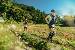 BIB: 
                            <button type="button" onclick="openModal(26679980)" class="btn btn-primary btn-sm float-right btn-popup" data-toggle="modal" data-target=".modal-high-quality">
                        <i class="fas fa-shopping-cart"></i> Add to Cart
                    </button>
                                            <button type="button" onclick="isThisMe(26679980, true)" class="btn btn-success btn-sm float-right btn-popup btn-isme hidden" data-toggle="tooltip" data-placement="bottom" title="นี่คือรูปของคุณใช่ไหม คลิกที่นี่เพื่อเอาเข้าอัลบั้ม">
                        <i class="fas fa-plus"></i> Add to album
                    </button>
                    <button type="button" onclick="isThisMe(26679980, false)" class="btn btn-warning btn-sm float-right btn-popup btn-isnotme hidden">
                        <i class="fas fa-ban"></i> Remove from album
                    </button>