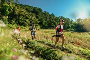 BIB: 
                            <button type="button" onclick="openModal(26638528)" class="btn btn-primary btn-sm float-right btn-popup" data-toggle="modal" data-target=".modal-high-quality">
                        <i class="fas fa-shopping-cart"></i> Add to Cart
                    </button>
                                            <button type="button" onclick="isThisMe(26638528, true)" class="btn btn-success btn-sm float-right btn-popup btn-isme hidden" data-toggle="tooltip" data-placement="bottom" title="นี่คือรูปของคุณใช่ไหม คลิกที่นี่เพื่อเอาเข้าอัลบั้ม">
                        <i class="fas fa-plus"></i> Add to album
                    </button>
                    <button type="button" onclick="isThisMe(26638528, false)" class="btn btn-warning btn-sm float-right btn-popup btn-isnotme hidden">
                        <i class="fas fa-ban"></i> Remove from album
                    </button>