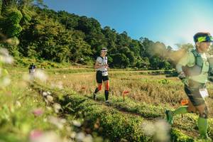 BIB: 
                            <button type="button" onclick="openModal(26637061)" class="btn btn-primary btn-sm float-right btn-popup" data-toggle="modal" data-target=".modal-high-quality">
                        <i class="fas fa-shopping-cart"></i> Add to Cart
                    </button>
                                            <button type="button" onclick="isThisMe(26637061, true)" class="btn btn-success btn-sm float-right btn-popup btn-isme hidden" data-toggle="tooltip" data-placement="bottom" title="นี่คือรูปของคุณใช่ไหม คลิกที่นี่เพื่อเอาเข้าอัลบั้ม">
                        <i class="fas fa-plus"></i> Add to album
                    </button>
                    <button type="button" onclick="isThisMe(26637061, false)" class="btn btn-warning btn-sm float-right btn-popup btn-isnotme hidden">
                        <i class="fas fa-ban"></i> Remove from album
                    </button>