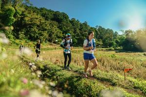 BIB: 
                            <button type="button" onclick="openModal(26638464)" class="btn btn-primary btn-sm float-right btn-popup" data-toggle="modal" data-target=".modal-high-quality">
                        <i class="fas fa-shopping-cart"></i> Add to Cart
                    </button>
                                            <button type="button" onclick="isThisMe(26638464, true)" class="btn btn-success btn-sm float-right btn-popup btn-isme hidden" data-toggle="tooltip" data-placement="bottom" title="นี่คือรูปของคุณใช่ไหม คลิกที่นี่เพื่อเอาเข้าอัลบั้ม">
                        <i class="fas fa-plus"></i> Add to album
                    </button>
                    <button type="button" onclick="isThisMe(26638464, false)" class="btn btn-warning btn-sm float-right btn-popup btn-isnotme hidden">
                        <i class="fas fa-ban"></i> Remove from album
                    </button>