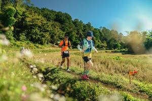 BIB: 
                            <button type="button" onclick="openModal(26681644)" class="btn btn-primary btn-sm float-right btn-popup" data-toggle="modal" data-target=".modal-high-quality">
                        <i class="fas fa-shopping-cart"></i> Add to Cart
                    </button>
                                            <button type="button" onclick="isThisMe(26681644, true)" class="btn btn-success btn-sm float-right btn-popup btn-isme hidden" data-toggle="tooltip" data-placement="bottom" title="นี่คือรูปของคุณใช่ไหม คลิกที่นี่เพื่อเอาเข้าอัลบั้ม">
                        <i class="fas fa-plus"></i> Add to album
                    </button>
                    <button type="button" onclick="isThisMe(26681644, false)" class="btn btn-warning btn-sm float-right btn-popup btn-isnotme hidden">
                        <i class="fas fa-ban"></i> Remove from album
                    </button>