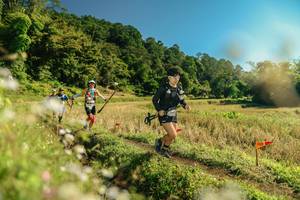 BIB: 
                            <button type="button" onclick="openModal(26685466)" class="btn btn-primary btn-sm float-right btn-popup" data-toggle="modal" data-target=".modal-high-quality">
                        <i class="fas fa-shopping-cart"></i> Add to Cart
                    </button>
                                            <button type="button" onclick="isThisMe(26685466, true)" class="btn btn-success btn-sm float-right btn-popup btn-isme hidden" data-toggle="tooltip" data-placement="bottom" title="นี่คือรูปของคุณใช่ไหม คลิกที่นี่เพื่อเอาเข้าอัลบั้ม">
                        <i class="fas fa-plus"></i> Add to album
                    </button>
                    <button type="button" onclick="isThisMe(26685466, false)" class="btn btn-warning btn-sm float-right btn-popup btn-isnotme hidden">
                        <i class="fas fa-ban"></i> Remove from album
                    </button>