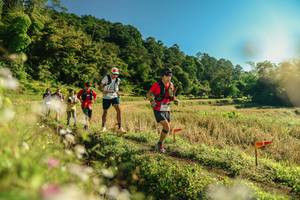 BIB: 
                            <button type="button" onclick="openModal(26637915)" class="btn btn-primary btn-sm float-right btn-popup" data-toggle="modal" data-target=".modal-high-quality">
                        <i class="fas fa-shopping-cart"></i> Add to Cart
                    </button>
                                            <button type="button" onclick="isThisMe(26637915, true)" class="btn btn-success btn-sm float-right btn-popup btn-isme hidden" data-toggle="tooltip" data-placement="bottom" title="นี่คือรูปของคุณใช่ไหม คลิกที่นี่เพื่อเอาเข้าอัลบั้ม">
                        <i class="fas fa-plus"></i> Add to album
                    </button>
                    <button type="button" onclick="isThisMe(26637915, false)" class="btn btn-warning btn-sm float-right btn-popup btn-isnotme hidden">
                        <i class="fas fa-ban"></i> Remove from album
                    </button>