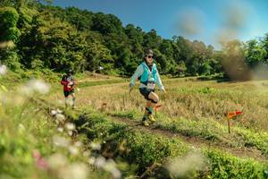 BIB: 
                            <button type="button" onclick="openModal(26699643)" class="btn btn-primary btn-sm float-right btn-popup" data-toggle="modal" data-target=".modal-high-quality">
                        <i class="fas fa-shopping-cart"></i> Add to Cart
                    </button>
                                            <button type="button" onclick="isThisMe(26699643, true)" class="btn btn-success btn-sm float-right btn-popup btn-isme hidden" data-toggle="tooltip" data-placement="bottom" title="นี่คือรูปของคุณใช่ไหม คลิกที่นี่เพื่อเอาเข้าอัลบั้ม">
                        <i class="fas fa-plus"></i> Add to album
                    </button>
                    <button type="button" onclick="isThisMe(26699643, false)" class="btn btn-warning btn-sm float-right btn-popup btn-isnotme hidden">
                        <i class="fas fa-ban"></i> Remove from album
                    </button>