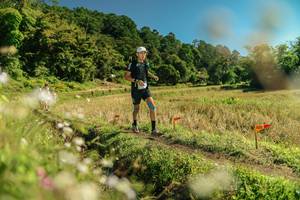 BIB: 
                            <button type="button" onclick="openModal(26699334)" class="btn btn-primary btn-sm float-right btn-popup" data-toggle="modal" data-target=".modal-high-quality">
                        <i class="fas fa-shopping-cart"></i> Add to Cart
                    </button>
                                            <button type="button" onclick="isThisMe(26699334, true)" class="btn btn-success btn-sm float-right btn-popup btn-isme hidden" data-toggle="tooltip" data-placement="bottom" title="นี่คือรูปของคุณใช่ไหม คลิกที่นี่เพื่อเอาเข้าอัลบั้ม">
                        <i class="fas fa-plus"></i> Add to album
                    </button>
                    <button type="button" onclick="isThisMe(26699334, false)" class="btn btn-warning btn-sm float-right btn-popup btn-isnotme hidden">
                        <i class="fas fa-ban"></i> Remove from album
                    </button>