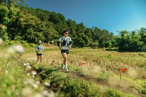 BIB: 
                            <button type="button" onclick="openModal(26713356)" class="btn btn-primary btn-sm float-right btn-popup" data-toggle="modal" data-target=".modal-high-quality">
                        <i class="fas fa-shopping-cart"></i> Add to Cart
                    </button>
                                            <button type="button" onclick="isThisMe(26713356, true)" class="btn btn-success btn-sm float-right btn-popup btn-isme hidden" data-toggle="tooltip" data-placement="bottom" title="นี่คือรูปของคุณใช่ไหม คลิกที่นี่เพื่อเอาเข้าอัลบั้ม">
                        <i class="fas fa-plus"></i> Add to album
                    </button>
                    <button type="button" onclick="isThisMe(26713356, false)" class="btn btn-warning btn-sm float-right btn-popup btn-isnotme hidden">
                        <i class="fas fa-ban"></i> Remove from album
                    </button>