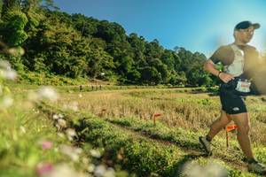 BIB: 
                            <button type="button" onclick="openModal(26637961)" class="btn btn-primary btn-sm float-right btn-popup" data-toggle="modal" data-target=".modal-high-quality">
                        <i class="fas fa-shopping-cart"></i> Add to Cart
                    </button>
                                            <button type="button" onclick="isThisMe(26637961, true)" class="btn btn-success btn-sm float-right btn-popup btn-isme hidden" data-toggle="tooltip" data-placement="bottom" title="นี่คือรูปของคุณใช่ไหม คลิกที่นี่เพื่อเอาเข้าอัลบั้ม">
                        <i class="fas fa-plus"></i> Add to album
                    </button>
                    <button type="button" onclick="isThisMe(26637961, false)" class="btn btn-warning btn-sm float-right btn-popup btn-isnotme hidden">
                        <i class="fas fa-ban"></i> Remove from album
                    </button>