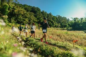 BIB: 
                            <button type="button" onclick="openModal(26637170)" class="btn btn-primary btn-sm float-right btn-popup" data-toggle="modal" data-target=".modal-high-quality">
                        <i class="fas fa-shopping-cart"></i> Add to Cart
                    </button>
                                            <button type="button" onclick="isThisMe(26637170, true)" class="btn btn-success btn-sm float-right btn-popup btn-isme hidden" data-toggle="tooltip" data-placement="bottom" title="นี่คือรูปของคุณใช่ไหม คลิกที่นี่เพื่อเอาเข้าอัลบั้ม">
                        <i class="fas fa-plus"></i> Add to album
                    </button>
                    <button type="button" onclick="isThisMe(26637170, false)" class="btn btn-warning btn-sm float-right btn-popup btn-isnotme hidden">
                        <i class="fas fa-ban"></i> Remove from album
                    </button>