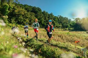 BIB: 
                            <button type="button" onclick="openModal(26637608)" class="btn btn-primary btn-sm float-right btn-popup" data-toggle="modal" data-target=".modal-high-quality">
                        <i class="fas fa-shopping-cart"></i> Add to Cart
                    </button>
                                            <button type="button" onclick="isThisMe(26637608, true)" class="btn btn-success btn-sm float-right btn-popup btn-isme hidden" data-toggle="tooltip" data-placement="bottom" title="นี่คือรูปของคุณใช่ไหม คลิกที่นี่เพื่อเอาเข้าอัลบั้ม">
                        <i class="fas fa-plus"></i> Add to album
                    </button>
                    <button type="button" onclick="isThisMe(26637608, false)" class="btn btn-warning btn-sm float-right btn-popup btn-isnotme hidden">
                        <i class="fas fa-ban"></i> Remove from album
                    </button>