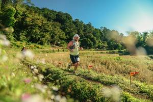 BIB: 
                            <button type="button" onclick="openModal(26637095)" class="btn btn-primary btn-sm float-right btn-popup" data-toggle="modal" data-target=".modal-high-quality">
                        <i class="fas fa-shopping-cart"></i> Add to Cart
                    </button>
                                            <button type="button" onclick="isThisMe(26637095, true)" class="btn btn-success btn-sm float-right btn-popup btn-isme hidden" data-toggle="tooltip" data-placement="bottom" title="นี่คือรูปของคุณใช่ไหม คลิกที่นี่เพื่อเอาเข้าอัลบั้ม">
                        <i class="fas fa-plus"></i> Add to album
                    </button>
                    <button type="button" onclick="isThisMe(26637095, false)" class="btn btn-warning btn-sm float-right btn-popup btn-isnotme hidden">
                        <i class="fas fa-ban"></i> Remove from album
                    </button>