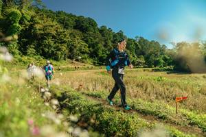 BIB: 
                            <button type="button" onclick="openModal(26691425)" class="btn btn-primary btn-sm float-right btn-popup" data-toggle="modal" data-target=".modal-high-quality">
                        <i class="fas fa-shopping-cart"></i> Add to Cart
                    </button>
                                            <button type="button" onclick="isThisMe(26691425, true)" class="btn btn-success btn-sm float-right btn-popup btn-isme hidden" data-toggle="tooltip" data-placement="bottom" title="นี่คือรูปของคุณใช่ไหม คลิกที่นี่เพื่อเอาเข้าอัลบั้ม">
                        <i class="fas fa-plus"></i> Add to album
                    </button>
                    <button type="button" onclick="isThisMe(26691425, false)" class="btn btn-warning btn-sm float-right btn-popup btn-isnotme hidden">
                        <i class="fas fa-ban"></i> Remove from album
                    </button>