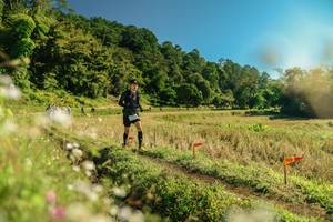 BIB: 
                            <button type="button" onclick="openModal(26688262)" class="btn btn-primary btn-sm float-right btn-popup" data-toggle="modal" data-target=".modal-high-quality">
                        <i class="fas fa-shopping-cart"></i> Add to Cart
                    </button>
                                            <button type="button" onclick="isThisMe(26688262, true)" class="btn btn-success btn-sm float-right btn-popup btn-isme hidden" data-toggle="tooltip" data-placement="bottom" title="นี่คือรูปของคุณใช่ไหม คลิกที่นี่เพื่อเอาเข้าอัลบั้ม">
                        <i class="fas fa-plus"></i> Add to album
                    </button>
                    <button type="button" onclick="isThisMe(26688262, false)" class="btn btn-warning btn-sm float-right btn-popup btn-isnotme hidden">
                        <i class="fas fa-ban"></i> Remove from album
                    </button>