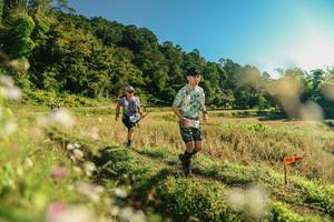 BIB: 
                            <button type="button" onclick="openModal(26636737)" class="btn btn-primary btn-sm float-right btn-popup" data-toggle="modal" data-target=".modal-high-quality">
                        <i class="fas fa-shopping-cart"></i> Add to Cart
                    </button>
                                            <button type="button" onclick="isThisMe(26636737, true)" class="btn btn-success btn-sm float-right btn-popup btn-isme hidden" data-toggle="tooltip" data-placement="bottom" title="นี่คือรูปของคุณใช่ไหม คลิกที่นี่เพื่อเอาเข้าอัลบั้ม">
                        <i class="fas fa-plus"></i> Add to album
                    </button>
                    <button type="button" onclick="isThisMe(26636737, false)" class="btn btn-warning btn-sm float-right btn-popup btn-isnotme hidden">
                        <i class="fas fa-ban"></i> Remove from album
                    </button>