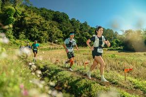 BIB: 
                            <button type="button" onclick="openModal(26691188)" class="btn btn-primary btn-sm float-right btn-popup" data-toggle="modal" data-target=".modal-high-quality">
                        <i class="fas fa-shopping-cart"></i> Add to Cart
                    </button>
                                            <button type="button" onclick="isThisMe(26691188, true)" class="btn btn-success btn-sm float-right btn-popup btn-isme hidden" data-toggle="tooltip" data-placement="bottom" title="นี่คือรูปของคุณใช่ไหม คลิกที่นี่เพื่อเอาเข้าอัลบั้ม">
                        <i class="fas fa-plus"></i> Add to album
                    </button>
                    <button type="button" onclick="isThisMe(26691188, false)" class="btn btn-warning btn-sm float-right btn-popup btn-isnotme hidden">
                        <i class="fas fa-ban"></i> Remove from album
                    </button>