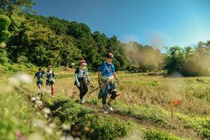 BIB: 
                            <button type="button" onclick="openModal(26700692)" class="btn btn-primary btn-sm float-right btn-popup" data-toggle="modal" data-target=".modal-high-quality">
                        <i class="fas fa-shopping-cart"></i> Add to Cart
                    </button>
                                            <button type="button" onclick="isThisMe(26700692, true)" class="btn btn-success btn-sm float-right btn-popup btn-isme hidden" data-toggle="tooltip" data-placement="bottom" title="นี่คือรูปของคุณใช่ไหม คลิกที่นี่เพื่อเอาเข้าอัลบั้ม">
                        <i class="fas fa-plus"></i> Add to album
                    </button>
                    <button type="button" onclick="isThisMe(26700692, false)" class="btn btn-warning btn-sm float-right btn-popup btn-isnotme hidden">
                        <i class="fas fa-ban"></i> Remove from album
                    </button>