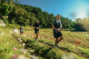 BIB: 
                            <button type="button" onclick="openModal(26638497)" class="btn btn-primary btn-sm float-right btn-popup" data-toggle="modal" data-target=".modal-high-quality">
                        <i class="fas fa-shopping-cart"></i> Add to Cart
                    </button>
                                            <button type="button" onclick="isThisMe(26638497, true)" class="btn btn-success btn-sm float-right btn-popup btn-isme hidden" data-toggle="tooltip" data-placement="bottom" title="นี่คือรูปของคุณใช่ไหม คลิกที่นี่เพื่อเอาเข้าอัลบั้ม">
                        <i class="fas fa-plus"></i> Add to album
                    </button>
                    <button type="button" onclick="isThisMe(26638497, false)" class="btn btn-warning btn-sm float-right btn-popup btn-isnotme hidden">
                        <i class="fas fa-ban"></i> Remove from album
                    </button>