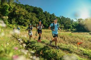 BIB: 
                            <button type="button" onclick="openModal(26637756)" class="btn btn-primary btn-sm float-right btn-popup" data-toggle="modal" data-target=".modal-high-quality">
                        <i class="fas fa-shopping-cart"></i> Add to Cart
                    </button>
                                            <button type="button" onclick="isThisMe(26637756, true)" class="btn btn-success btn-sm float-right btn-popup btn-isme hidden" data-toggle="tooltip" data-placement="bottom" title="นี่คือรูปของคุณใช่ไหม คลิกที่นี่เพื่อเอาเข้าอัลบั้ม">
                        <i class="fas fa-plus"></i> Add to album
                    </button>
                    <button type="button" onclick="isThisMe(26637756, false)" class="btn btn-warning btn-sm float-right btn-popup btn-isnotme hidden">
                        <i class="fas fa-ban"></i> Remove from album
                    </button>