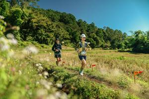 BIB: 
                            <button type="button" onclick="openModal(26710607)" class="btn btn-primary btn-sm float-right btn-popup" data-toggle="modal" data-target=".modal-high-quality">
                        <i class="fas fa-shopping-cart"></i> Add to Cart
                    </button>
                                            <button type="button" onclick="isThisMe(26710607, true)" class="btn btn-success btn-sm float-right btn-popup btn-isme hidden" data-toggle="tooltip" data-placement="bottom" title="นี่คือรูปของคุณใช่ไหม คลิกที่นี่เพื่อเอาเข้าอัลบั้ม">
                        <i class="fas fa-plus"></i> Add to album
                    </button>
                    <button type="button" onclick="isThisMe(26710607, false)" class="btn btn-warning btn-sm float-right btn-popup btn-isnotme hidden">
                        <i class="fas fa-ban"></i> Remove from album
                    </button>