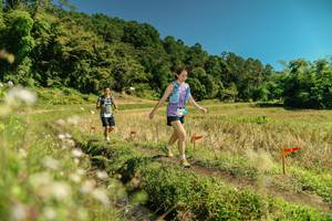 BIB: 
                            <button type="button" onclick="openModal(26726340)" class="btn btn-primary btn-sm float-right btn-popup" data-toggle="modal" data-target=".modal-high-quality">
                        <i class="fas fa-shopping-cart"></i> Add to Cart
                    </button>
                                            <button type="button" onclick="isThisMe(26726340, true)" class="btn btn-success btn-sm float-right btn-popup btn-isme hidden" data-toggle="tooltip" data-placement="bottom" title="นี่คือรูปของคุณใช่ไหม คลิกที่นี่เพื่อเอาเข้าอัลบั้ม">
                        <i class="fas fa-plus"></i> Add to album
                    </button>
                    <button type="button" onclick="isThisMe(26726340, false)" class="btn btn-warning btn-sm float-right btn-popup btn-isnotme hidden">
                        <i class="fas fa-ban"></i> Remove from album
                    </button>