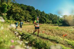 BIB: 
                            <button type="button" onclick="openModal(26638717)" class="btn btn-primary btn-sm float-right btn-popup" data-toggle="modal" data-target=".modal-high-quality">
                        <i class="fas fa-shopping-cart"></i> Add to Cart
                    </button>
                                            <button type="button" onclick="isThisMe(26638717, true)" class="btn btn-success btn-sm float-right btn-popup btn-isme hidden" data-toggle="tooltip" data-placement="bottom" title="นี่คือรูปของคุณใช่ไหม คลิกที่นี่เพื่อเอาเข้าอัลบั้ม">
                        <i class="fas fa-plus"></i> Add to album
                    </button>
                    <button type="button" onclick="isThisMe(26638717, false)" class="btn btn-warning btn-sm float-right btn-popup btn-isnotme hidden">
                        <i class="fas fa-ban"></i> Remove from album
                    </button>