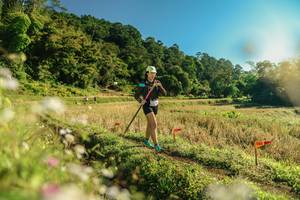 BIB: 
                            <button type="button" onclick="openModal(26637821)" class="btn btn-primary btn-sm float-right btn-popup" data-toggle="modal" data-target=".modal-high-quality">
                        <i class="fas fa-shopping-cart"></i> Add to Cart
                    </button>
                                            <button type="button" onclick="isThisMe(26637821, true)" class="btn btn-success btn-sm float-right btn-popup btn-isme hidden" data-toggle="tooltip" data-placement="bottom" title="นี่คือรูปของคุณใช่ไหม คลิกที่นี่เพื่อเอาเข้าอัลบั้ม">
                        <i class="fas fa-plus"></i> Add to album
                    </button>
                    <button type="button" onclick="isThisMe(26637821, false)" class="btn btn-warning btn-sm float-right btn-popup btn-isnotme hidden">
                        <i class="fas fa-ban"></i> Remove from album
                    </button>