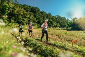 BIB: 
                            <button type="button" onclick="openModal(26638157)" class="btn btn-primary btn-sm float-right btn-popup" data-toggle="modal" data-target=".modal-high-quality">
                        <i class="fas fa-shopping-cart"></i> Add to Cart
                    </button>
                                            <button type="button" onclick="isThisMe(26638157, true)" class="btn btn-success btn-sm float-right btn-popup btn-isme hidden" data-toggle="tooltip" data-placement="bottom" title="นี่คือรูปของคุณใช่ไหม คลิกที่นี่เพื่อเอาเข้าอัลบั้ม">
                        <i class="fas fa-plus"></i> Add to album
                    </button>
                    <button type="button" onclick="isThisMe(26638157, false)" class="btn btn-warning btn-sm float-right btn-popup btn-isnotme hidden">
                        <i class="fas fa-ban"></i> Remove from album
                    </button>