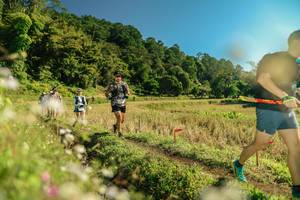 BIB: 
                            <button type="button" onclick="openModal(26688522)" class="btn btn-primary btn-sm float-right btn-popup" data-toggle="modal" data-target=".modal-high-quality">
                        <i class="fas fa-shopping-cart"></i> Add to Cart
                    </button>
                                            <button type="button" onclick="isThisMe(26688522, true)" class="btn btn-success btn-sm float-right btn-popup btn-isme hidden" data-toggle="tooltip" data-placement="bottom" title="นี่คือรูปของคุณใช่ไหม คลิกที่นี่เพื่อเอาเข้าอัลบั้ม">
                        <i class="fas fa-plus"></i> Add to album
                    </button>
                    <button type="button" onclick="isThisMe(26688522, false)" class="btn btn-warning btn-sm float-right btn-popup btn-isnotme hidden">
                        <i class="fas fa-ban"></i> Remove from album
                    </button>